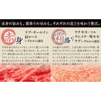 【12ヶ月定期便】岡山県産牛 スライス 食べ比べ 500g×12回《お申し込み月の翌月から出荷開始》