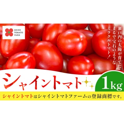 シャイントマト 1kg シャイントマトファーム《1月中旬-7月下旬頃出荷》【配送不可地域あり】