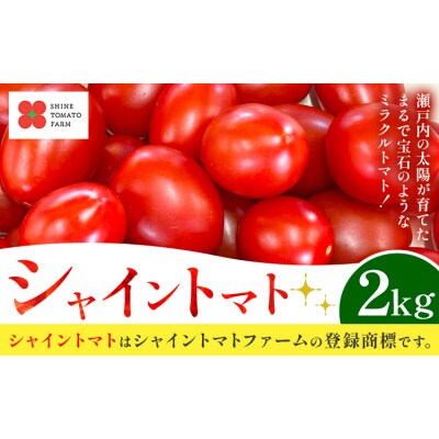 シャイントマト 2kg シャイントマトファーム《1月中旬-7月中旬頃出荷》【配送不可地域あり】