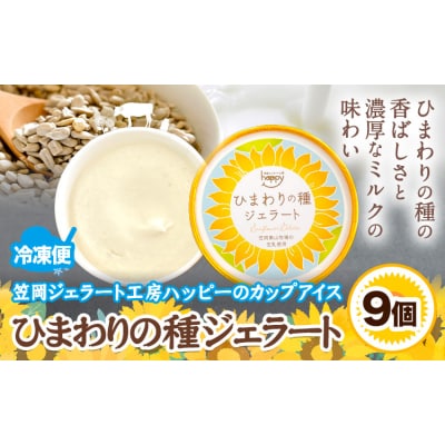 ひまわりの種ジェラート 9個 笠岡ジェラート工房ハッピー《45日以内に出荷予定(土日祝除く)》
