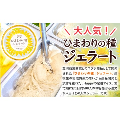 ひまわりの種ジェラート 15個 笠岡ジェラート工房ハッピー《45日以内に出荷予定(土日祝除く)》