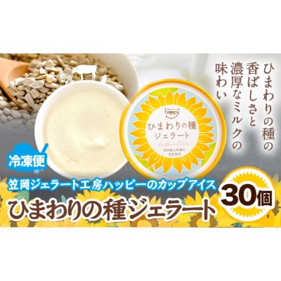 ひまわりの種ジェラート 30個 笠岡ジェラート工房ハッピー《45日以内に出荷予定(土日祝除く)》