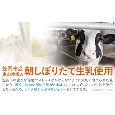 ひまわりの種ジェラート 30個 笠岡ジェラート工房ハッピー《45日以内に出荷予定(土日祝除く)》