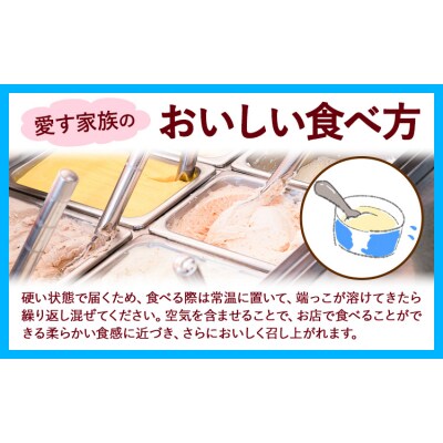 ひまわりの種ジェラート 30個 笠岡ジェラート工房ハッピー《45日以内に出荷予定(土日祝除く)》