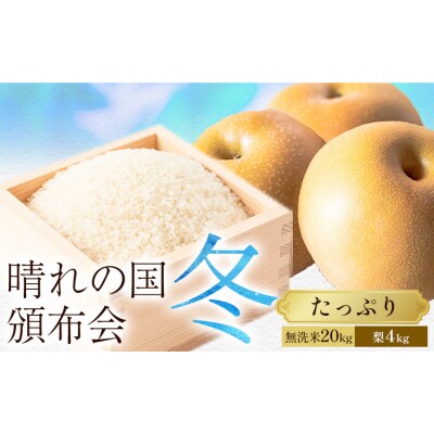 晴れの国頒布会 冬 たっぷり 無洗米 20kg 梨 4kg