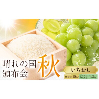 晴れの国頒布会 秋 いちおし 無洗米 10kg シャインマスカット 1.2kg