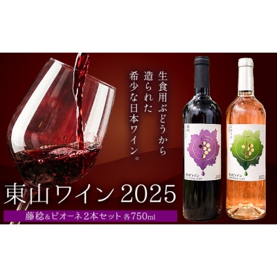 東山ワイン2025 750ml 藤稔 ピオーネ 2本セット 東山農園《30日以内に出荷予定(土日祝除