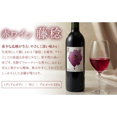 東山ワイン2025 750ml 藤稔 ピオーネ 2本セット 東山農園《30日以内に出荷予定(土日祝除