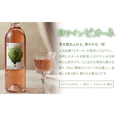 東山ワイン2025 750ml 藤稔 ピオーネ 2本セット 東山農園《30日以内に出荷予定(土日祝除