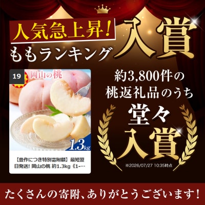【2027年発送】岡山の桃 約1.3kg《2027年6月下旬～9月上旬頃出荷》岡山県 笠岡 白桃