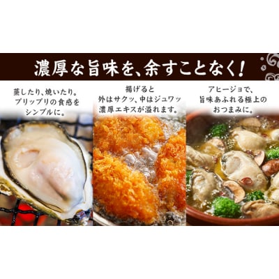 笠岡産 冷凍殻付き牡蠣 加熱用 4kg 60～80粒 《30日以内に出荷予定(土日祝除く)》