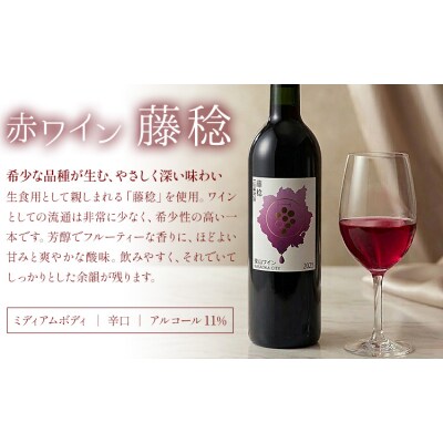 東山ワイン2025 750ml 藤稔 東山農園《30日以内に出荷予定(土日祝除く)》