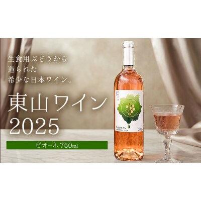 東山ワイン2025 750ml ピオーネ 東山農園《30日以内に出荷予定(土日祝除く)》