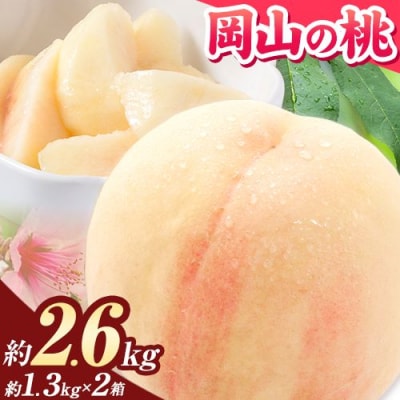 【2027年発送】岡山の桃 約2.6kg《2027年6月下旬～9月上旬頃出荷》岡山 笠岡市 白桃