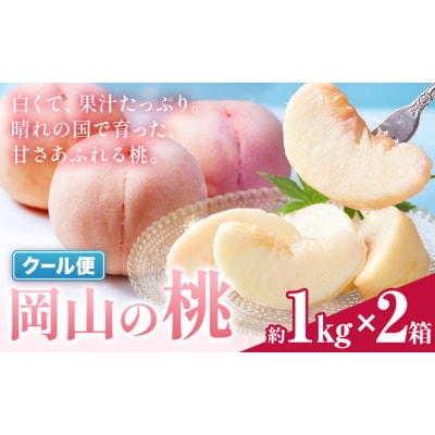 桃 岡山の桃 約1kg × 2箱 《6月下旬-9月上旬頃出荷予定》岡山県 笠岡市 白桃 岡山