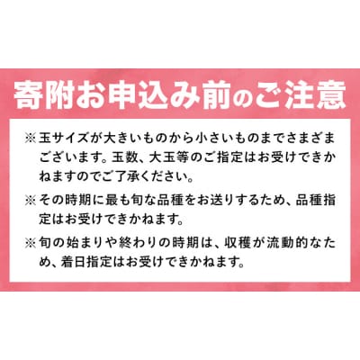 最短翌日発送! 岡山の桃 約1kg×2箱 《1-5営業日出荷》岡山県 笠岡市 白桃 おすそわけ