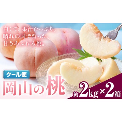 桃 岡山の桃 約2kg × 2箱 《6月下旬-9月上旬頃出荷予定》岡山県 笠岡市 白桃 岡山