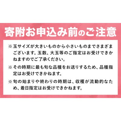 桃 岡山の桃 約2kg × 2箱 《6月下旬-9月上旬頃出荷予定》岡山県 笠岡市 白桃 岡山