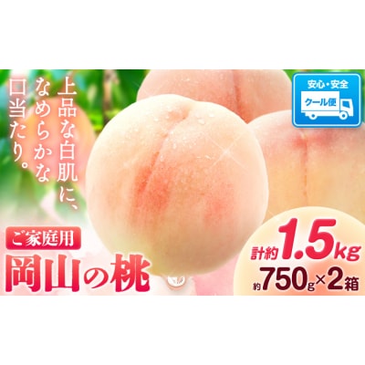 最短翌日発送!岡山の桃 約750g×2箱 《1-5営業日出荷》 岡山 笠岡 白桃 おすそわけ