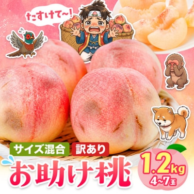 ＼2026年発送ですぐ届く/訳あり お助け桃 約1.2kg《6月下旬-9月上旬頃出荷》笠岡市 家庭用