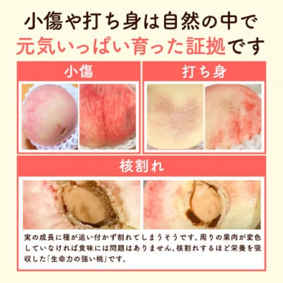 ＼2026年発送ですぐ届く/訳あり お助け桃 約1.2kg《6月下旬-9月上旬頃出荷》笠岡市 家庭用