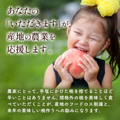＼2026年発送ですぐ届く/訳あり お助け桃 約1.2kg《6月下旬-9月上旬頃出荷》笠岡市 家庭用