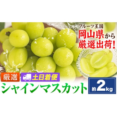 【土日着便】シャインマスカット 約2kg(3-5房)【配送不可地域あり(離島)】
