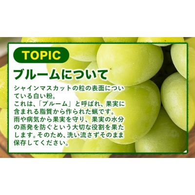 【土日着便】シャインマスカット 約2kg(3-5房)【配送不可地域あり(離島)】