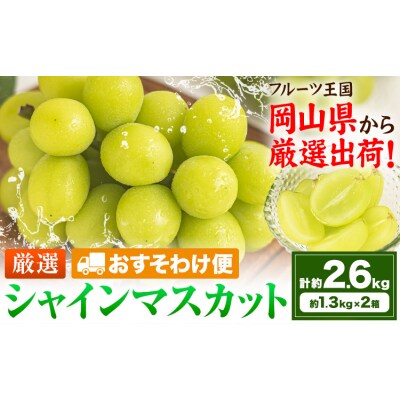 【おすそわけ便】シャインマスカット 計約2.6kg《2026年9月上旬-11月上旬頃出荷》