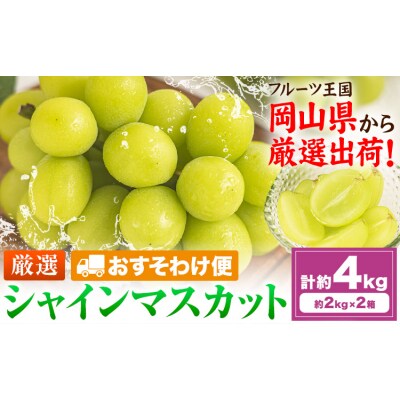 【おすそわけ便】シャインマスカット 計約4kg《2026年9月上旬-11月上旬頃出荷》