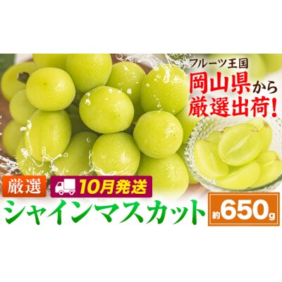 【10月発送】シャインマスカット 約650g(1房)《2026年10月上旬-10月末頃出荷》