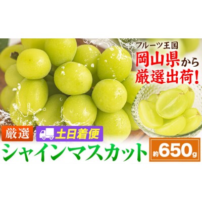 【土日着便】シャインマスカット 約650g(1房)【配送不可地域あり(離島)】