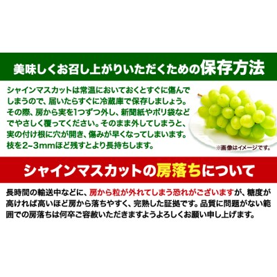 【土日着便】シャインマスカット 約650g(1房)【配送不可地域あり(離島)】