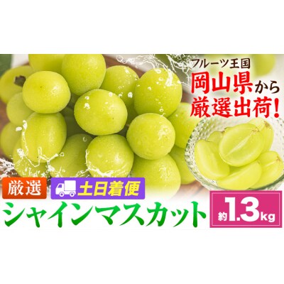 【土日着便】シャインマスカット 約1.3kg(2-3房)【配送不可地域あり(離島)】