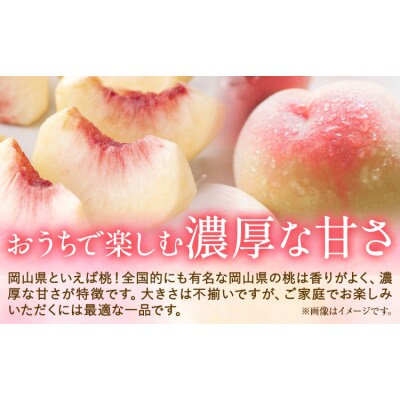 【2027年発送先行予約】ご家庭用　おかやまの桃　約1.3kg(5玉から6玉)