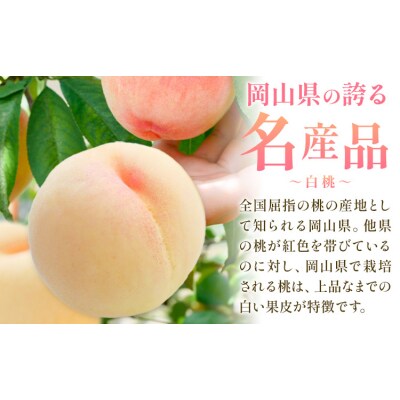 【2027年発送先行予約】桃 3ヶ月 計10回 定期便 岡山の桃 十撰 10種 各1kg 計10kg