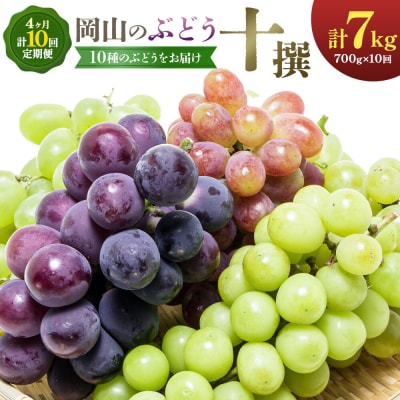 【2027年発送先行予約】ぶどう 計10回 4ヶ月定期便 岡山のぶどう 10種 各700g 計7kg