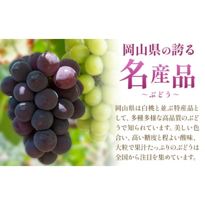 【2027年発送先行予約】ぶどう 計10回 4ヶ月定期便 岡山のぶどう 10種 各700g 計7kg