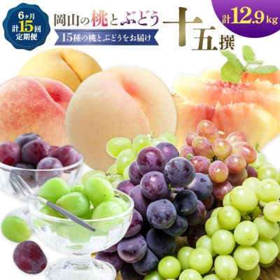 【2027年発送先行予約】 桃 ぶどう 計15回 定期便 岡山 10種 計12.9kg