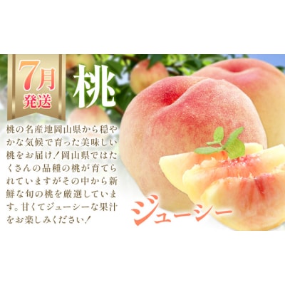 【2027年発送先行予約】ぶどう 桃 梨 3ヶ月定期便 岡山の果物 3種 食べ比べ 計4.1kg