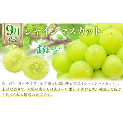 【2027年発送先行予約】ぶどう 桃 梨 3ヶ月定期便 岡山の果物 3種 食べ比べ 計4.1kg