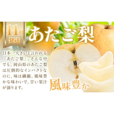 【2027年発送先行予約】ぶどう 桃 梨 3ヶ月定期便 岡山の果物 3種 食べ比べ 計4.1kg