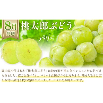 【2027年発送先行予約】ぶどう 3ヶ月定期便 岡山のぶどう 3種 食べ比べ 各700g 計2kg