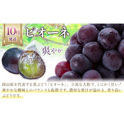 【2027年発送先行予約】ぶどう 3ヶ月定期便 岡山のぶどう 3種 食べ比べ 各700g 計2kg