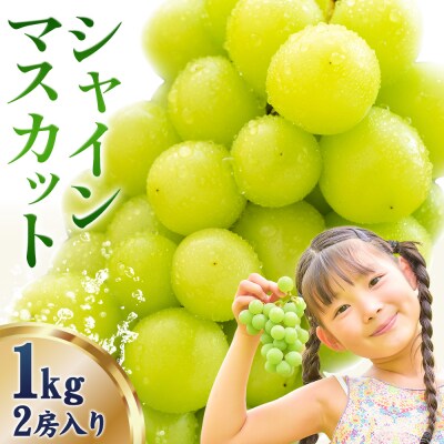 【さとふる限定】シャインマスカット 約1kg《9月上旬-11月上旬頃出荷》笠岡市