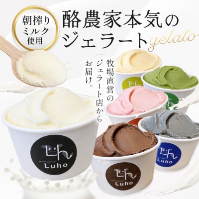 アイス スイーツ ジェラート 酪農家本気のジェラート 8個 《30日以内に出荷予定(土日祝除く)》