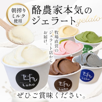 アイス スイーツ ジェラート 酪農家本気のジェラート 12個 《30日以内に出荷予定(土日祝除く)》