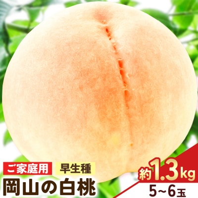 【2027年発送先行予約】ご家庭用 岡山の白桃(早生種)約1.3kg 5～6玉【配送不可地域:離島】