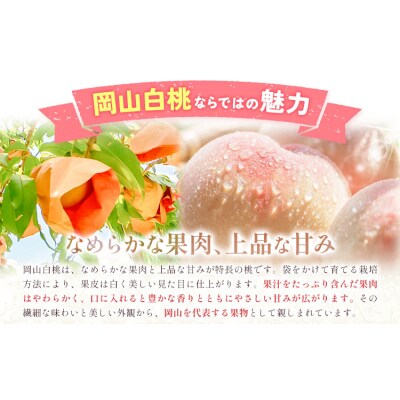 【2027年発送先行予約】ご家庭用 岡山の白桃(早生種)約1.3kg 5～6玉【配送不可地域:離島】