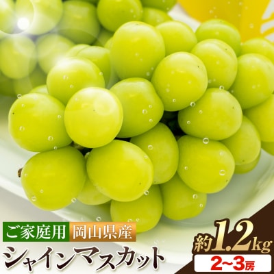 岡山県産 ご家庭用 シャインマスカット 2～3房 約1.2kg【配送不可地域:離島】